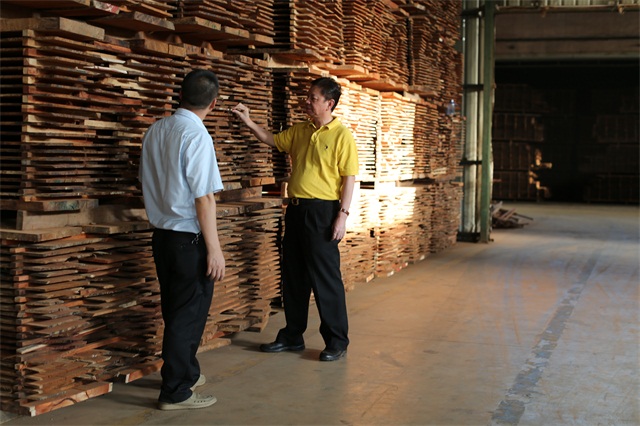 2025年正版全年资料大全