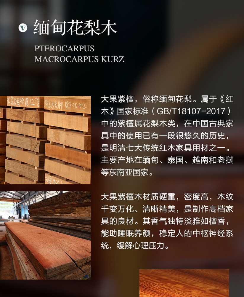 2025年正版全年资料大全