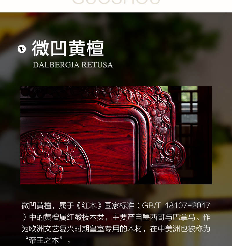 2025年正版全年资料大全