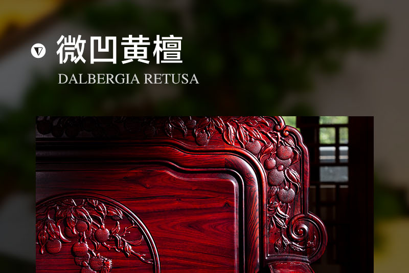 2025年正版全年资料大全