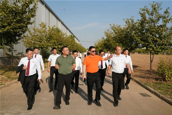 2025年正版全年资料大全