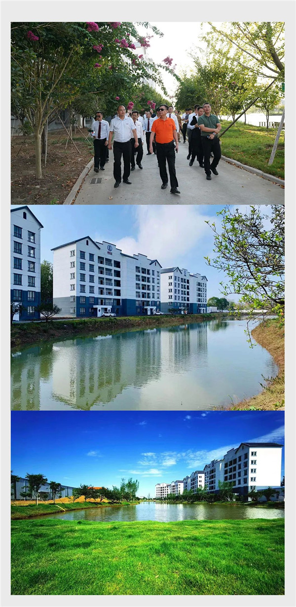 2025年正版全年资料大全