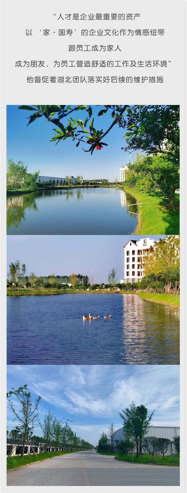 2025年正版全年资料大全