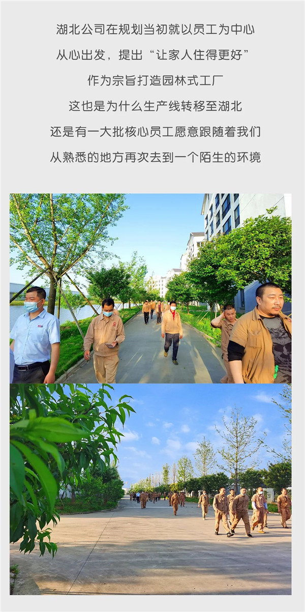 2025年正版全年资料大全