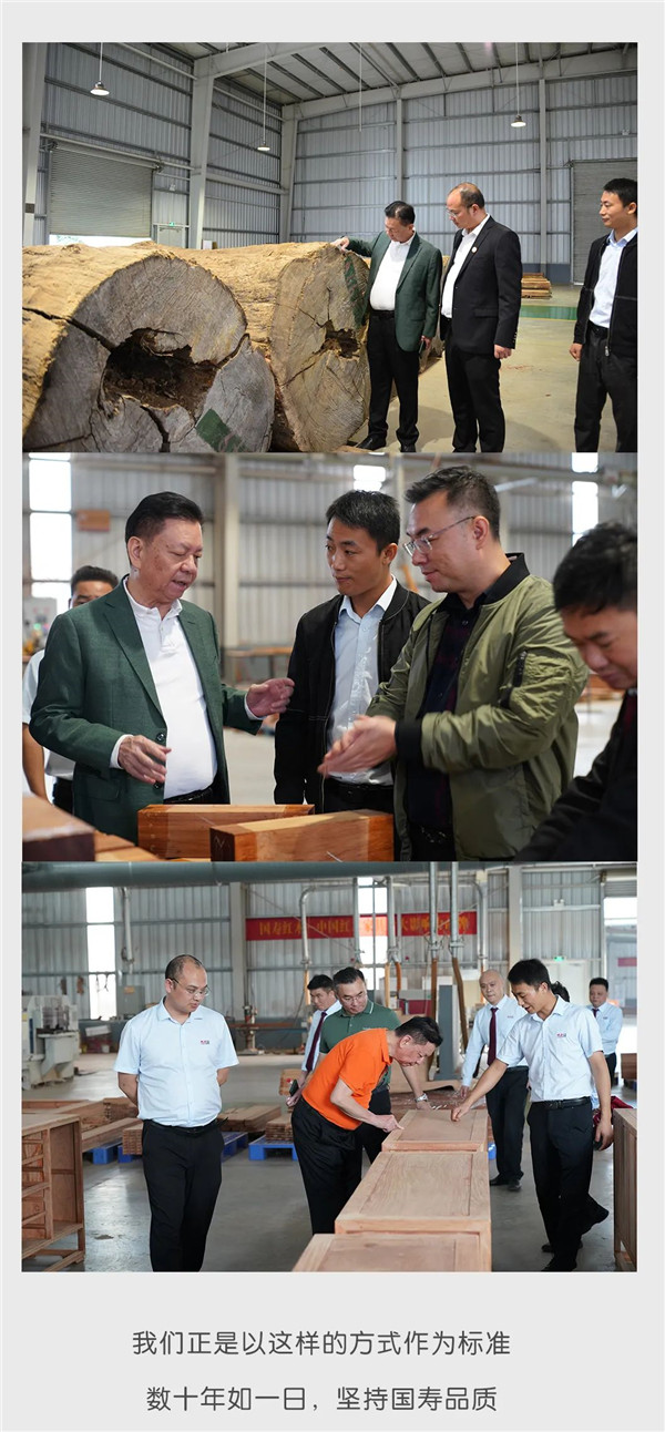 2025年正版全年资料大全