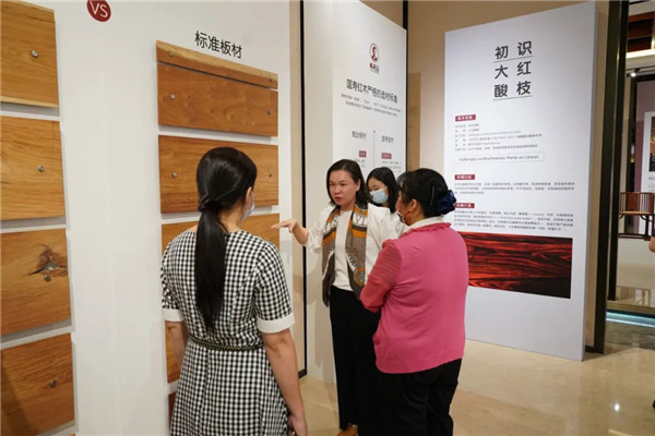 2025年正版全年资料大全