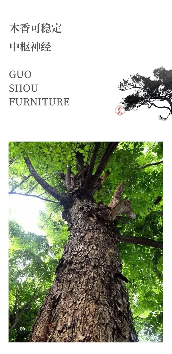 2025年正版全年资料大全