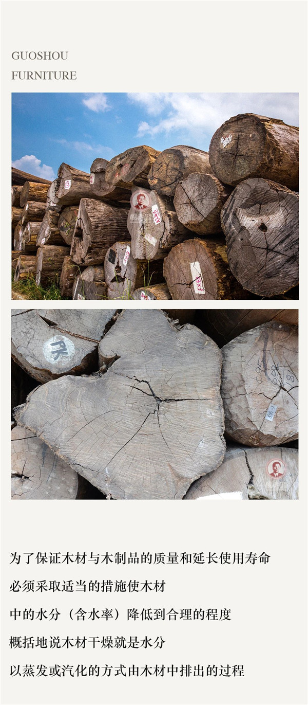 2025年正版全年资料大全